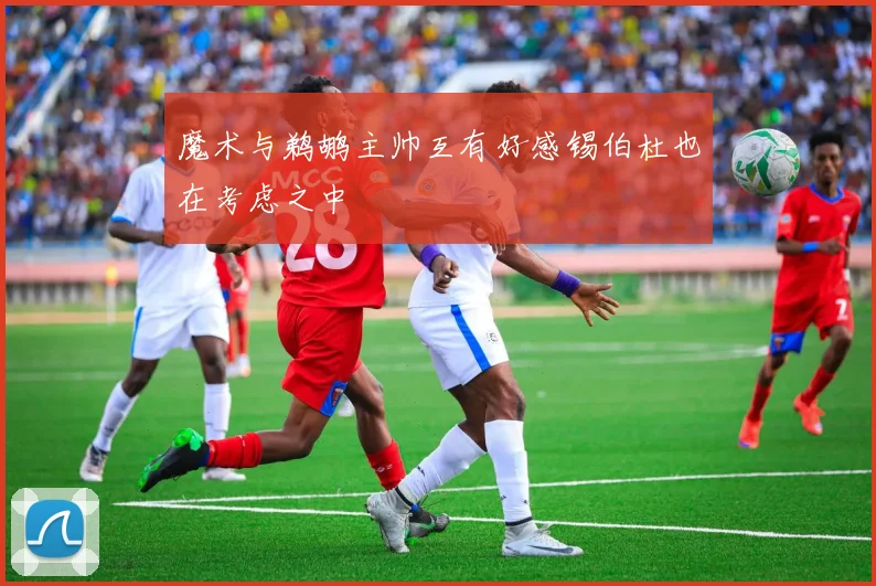 魔术与鹈鹕主帅互有好感锡伯杜也在考虑之中